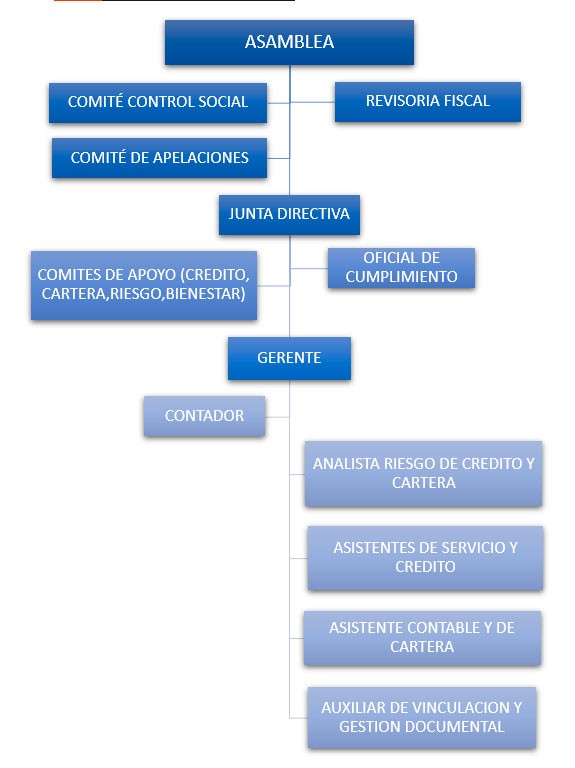 organigrama